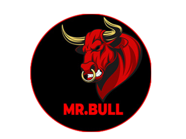 Mr.Bull